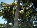28 - Jardin des eaux 040